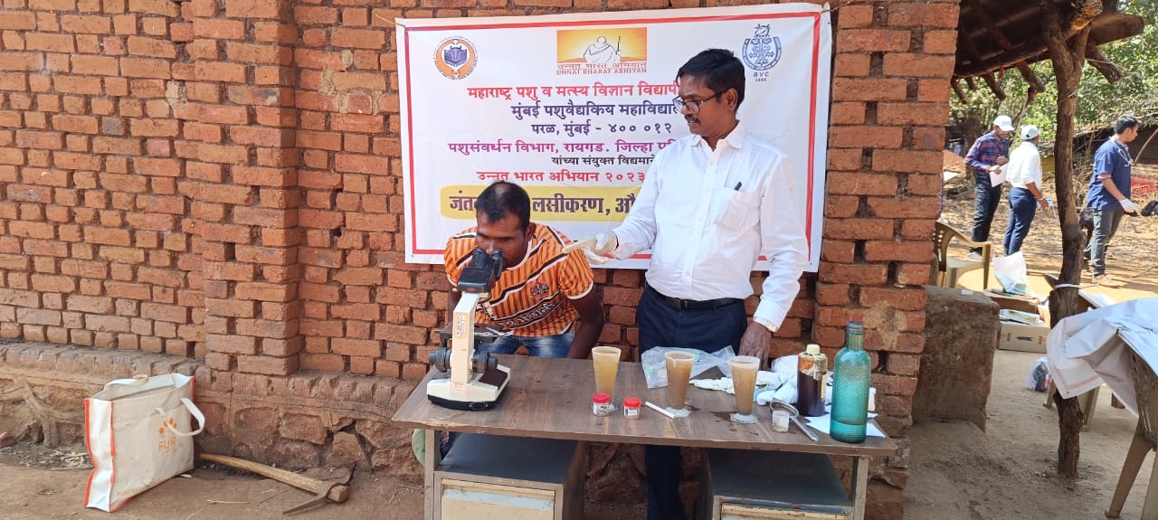 Parasitic Egg Demonstration 